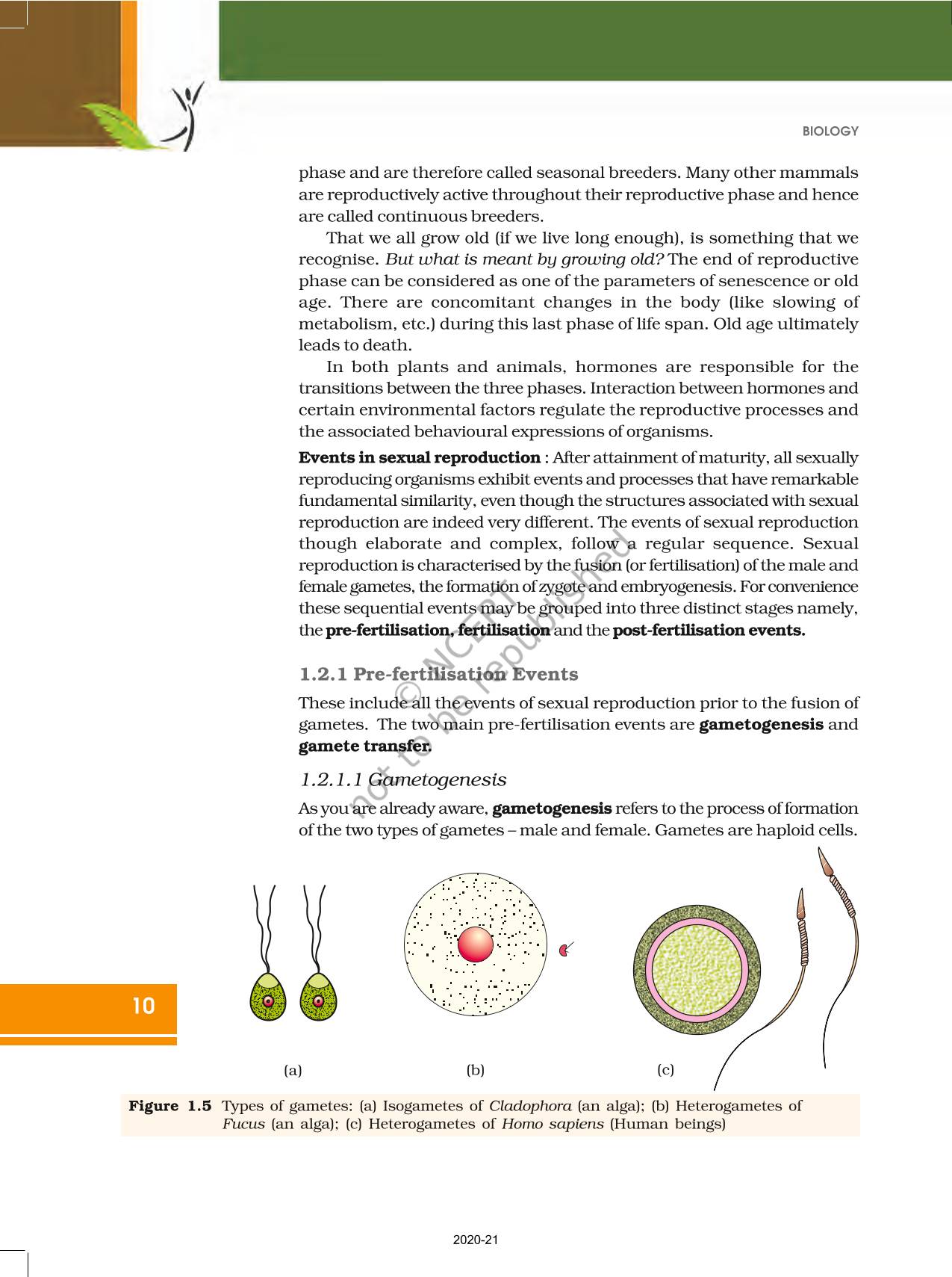 Reproduction In Organisms - NCERT Book Of Class 12 Biology